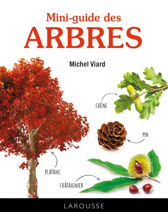 Kniha Mini-guide des arbres Michel Viard