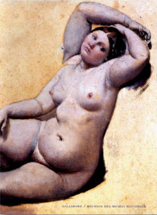 Book Dessins d'Ingres Vigne
