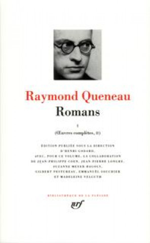 Buch Romans Queneau