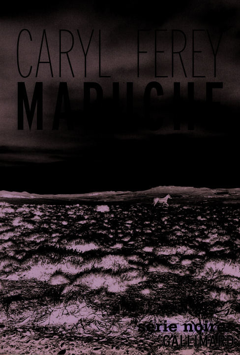 Book Mapuche Férey