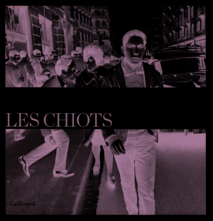 Boek Les Chiots Vargas Llosa