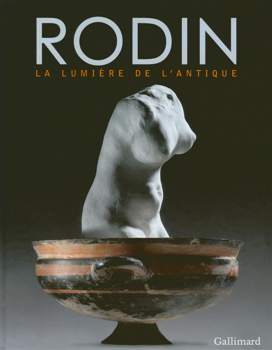 Kniha Rodin 