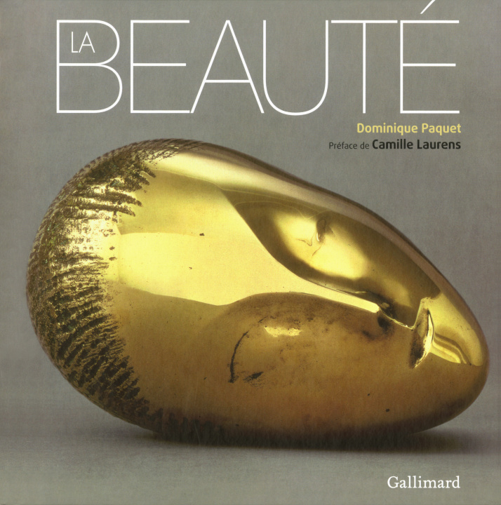 Knjiga La beauté Paquet