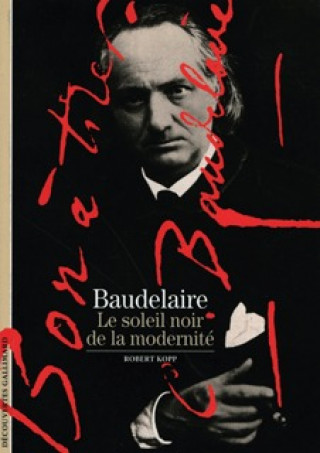 Книга Baudelaire Kopp