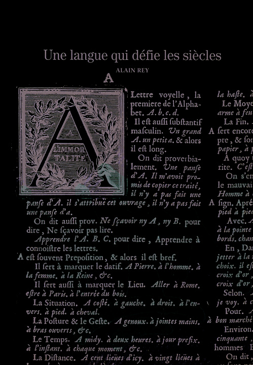 Knjiga Le français Rey