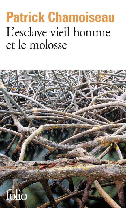 Kniha L'esclave vieil homme et le molosse Chamoiseau