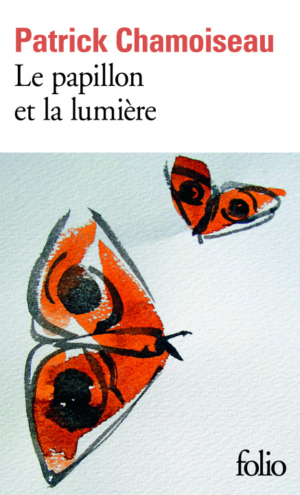 Kniha Le papillon et la lumiere Chamoiseau