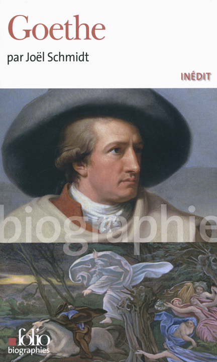 Knjiga Goethe Schmidt