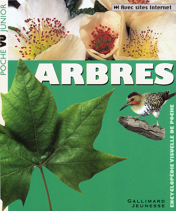 Book ARBRES GREENAWAY