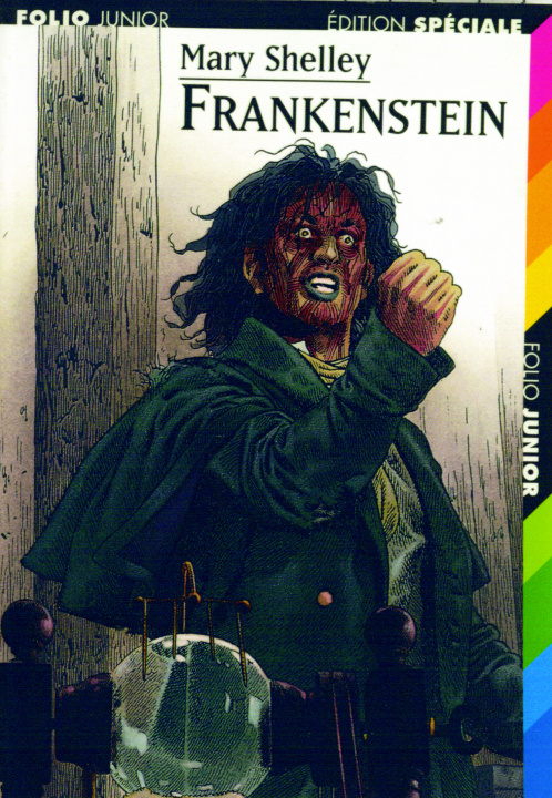 Boek FRANKENSTEIN SHELLEY