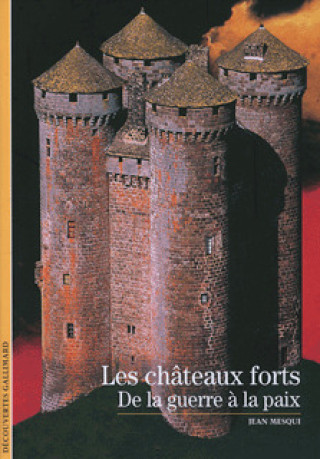 Kniha LES CHATEAUX FORTS Mesqui