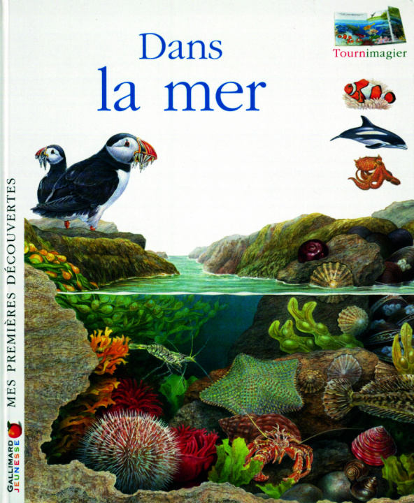 Knjiga Dans la mer COLLECTIFS JEUN