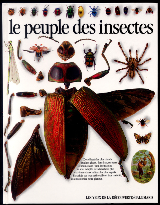 Knjiga Le Peuple des insectes Mound