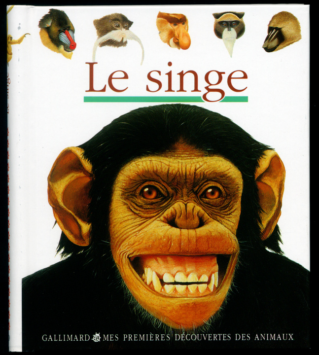 Knjiga Le singe COLLECTIFS JEUN