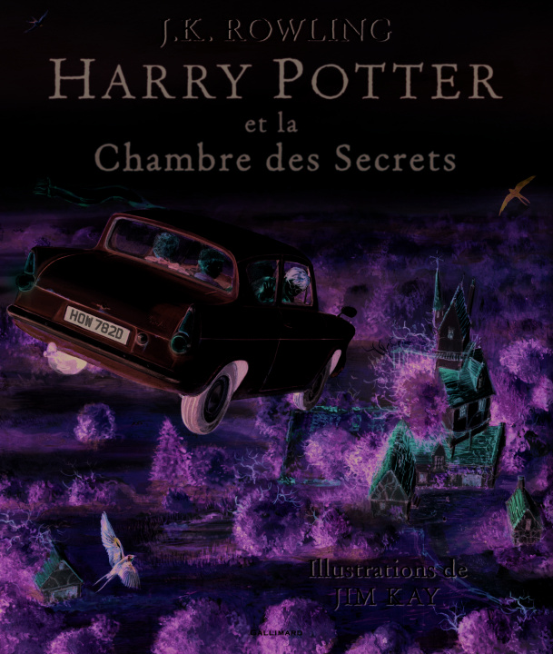 Kniha Harry Potter et la chambre des sercets, illustre par Jim Kay Rowling