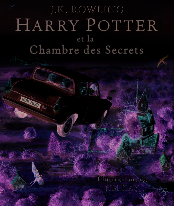 Buch Harry Potter et la chambre des sercets, illustre par Jim Kay Rowling