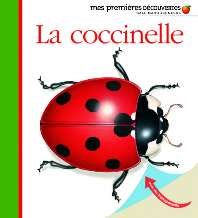 Video La coccinelle 