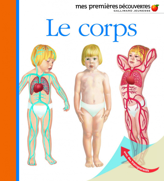 Video Le corps COLLECTIFS JEUN