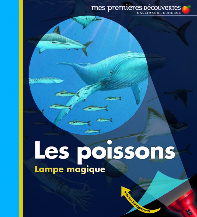 Video Les poissons Delafosse