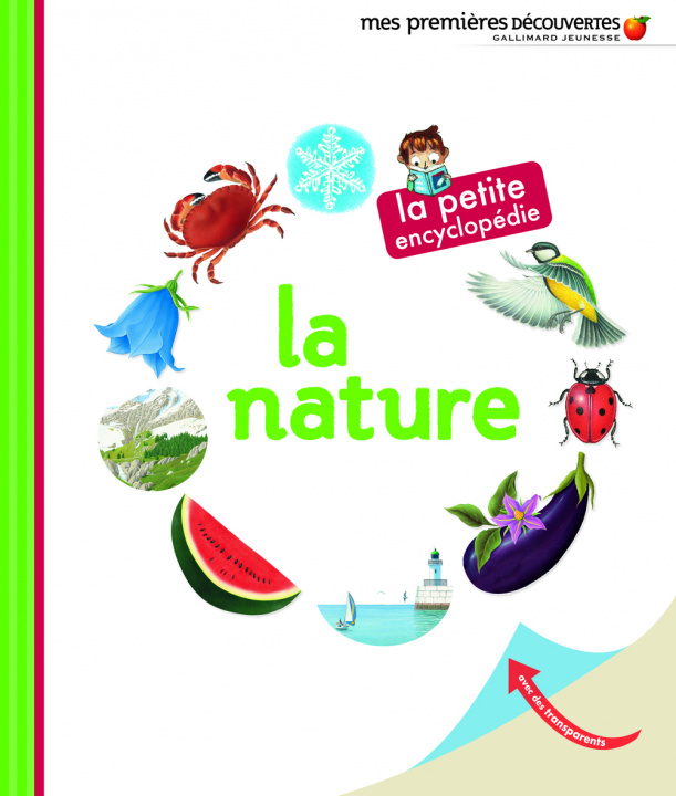 Video La nature Gravier