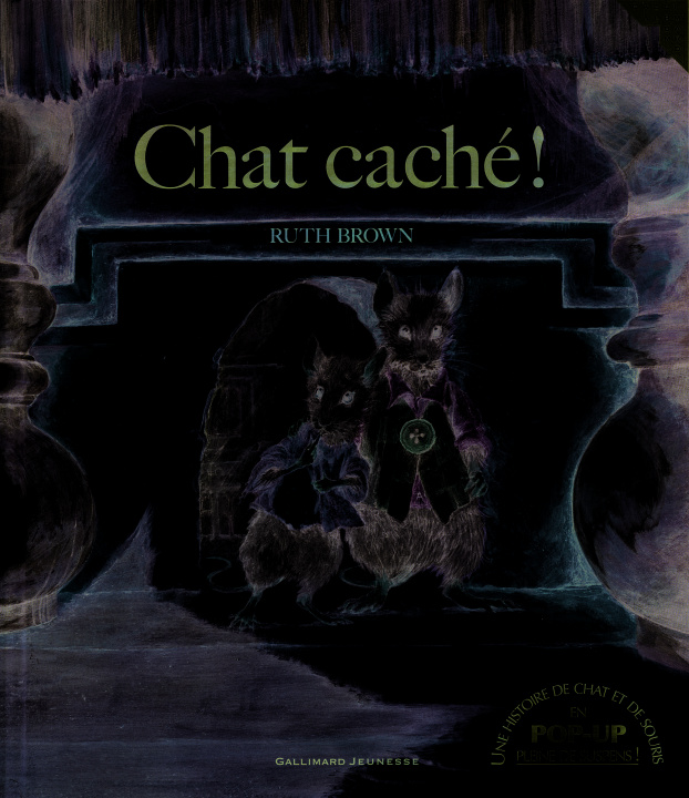 Knjiga Chat caché ! Brown