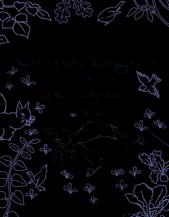 Knjiga Pierre Lapin : Coloriages et dessins Potter
