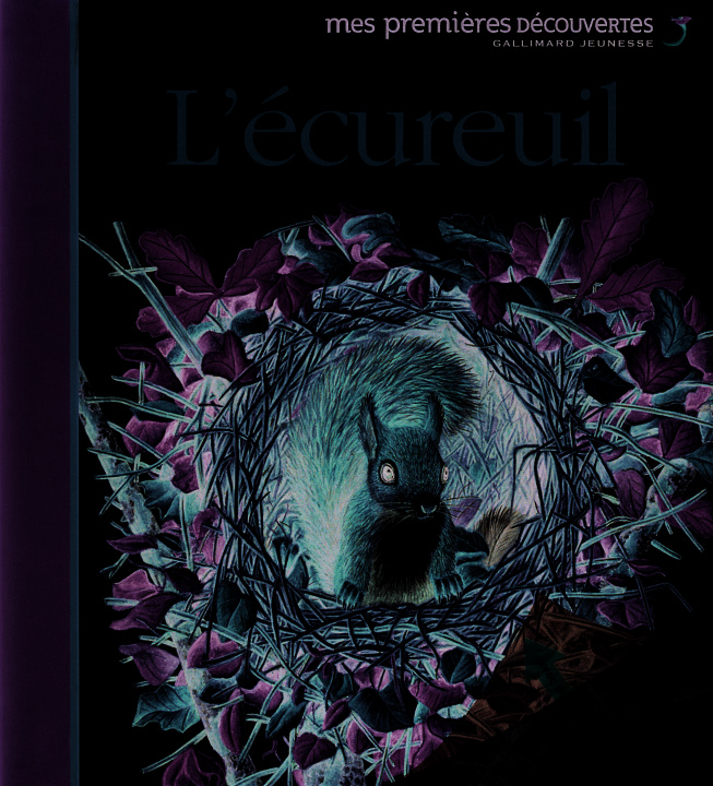 Video L'écureuil COLLECTIFS JEUN
