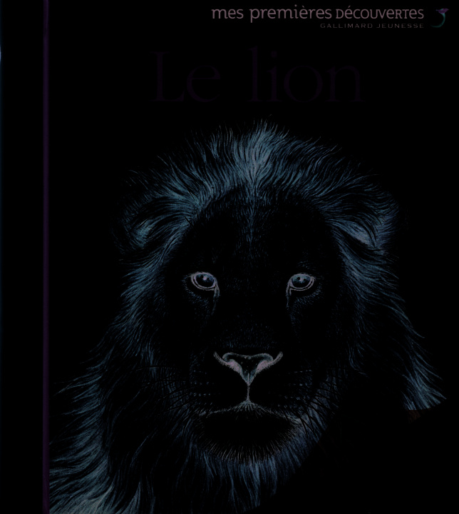 Film Le lion COLLECTIFS JEUN