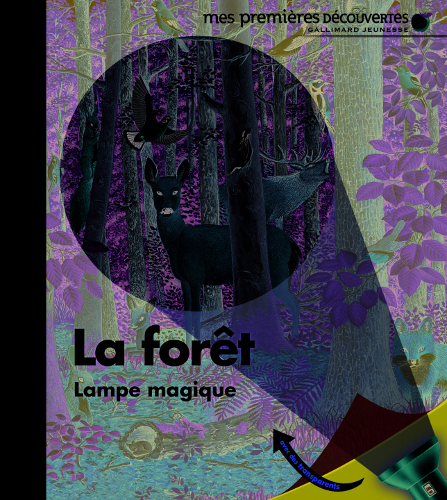 Wideo La forêt Delafosse