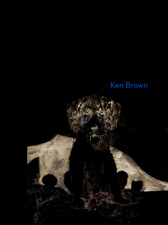 Knjiga Salsifi ça suffit ! Brown