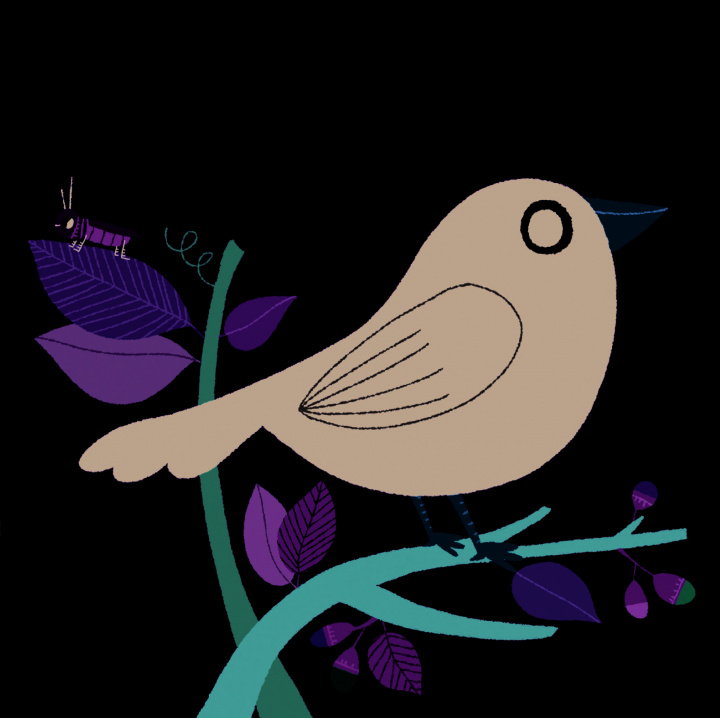 Knjiga Les oiseaux BILLET