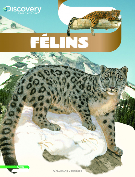 Knjiga Félins Coupe