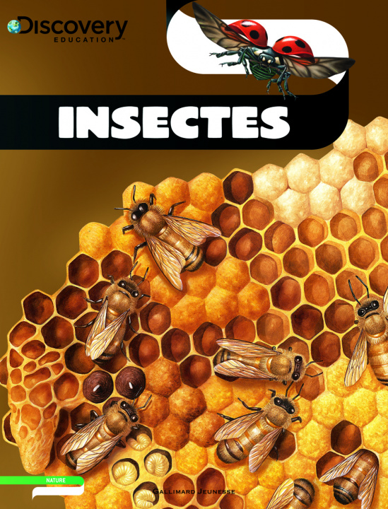 Knjiga Insectes McFadzean