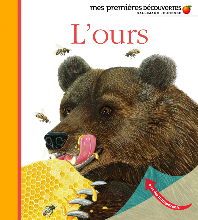 Видео L'ours COLLECTIFS JEUN