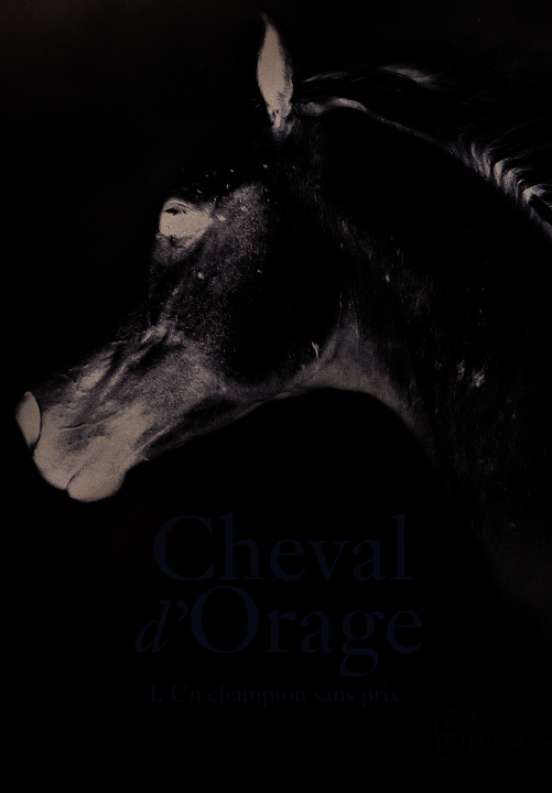 Book Cheval d'Orage St John