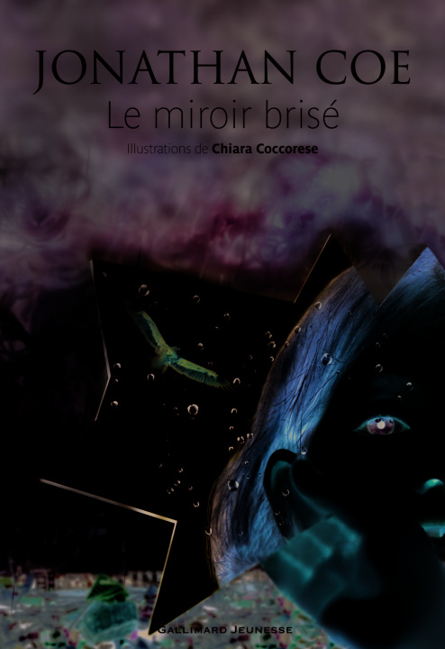Kniha Le miroir brisé Coe