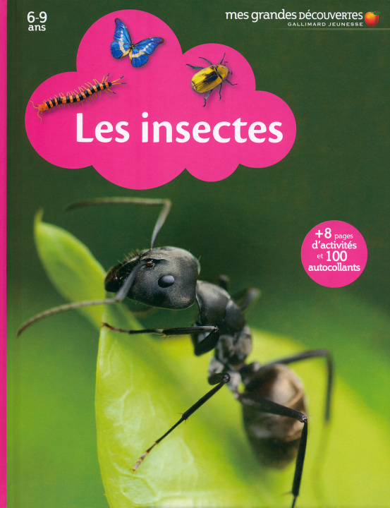 Knjiga Les insectes COLLECTIFS JEUN