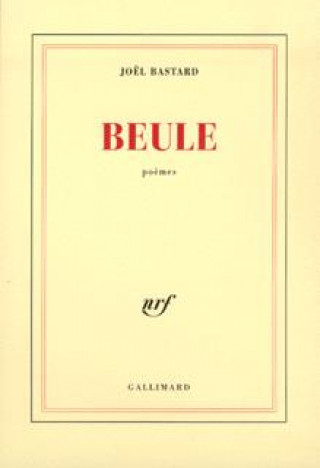 Knjiga Beule Bastard
