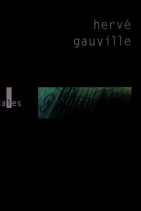 Knjiga Pas de deux Gauville
