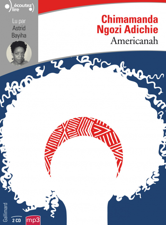 Digital Americanah Adichie