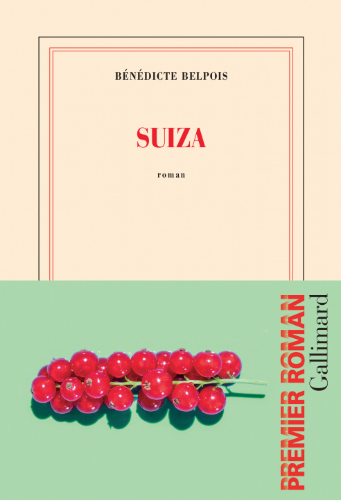 Buch Suiza Belpois