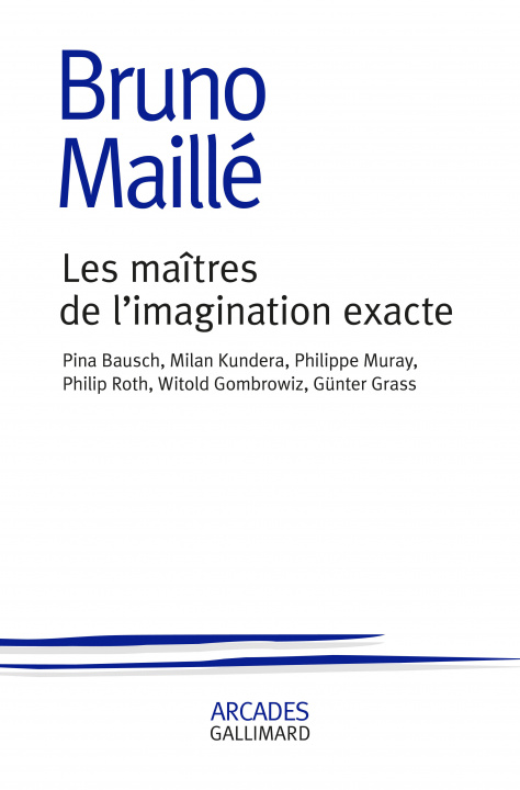 Knjiga Les maîtres de l'imagination exacte Maillé