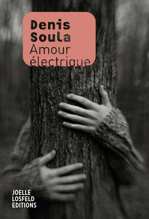 Boek Amour électrique Soula