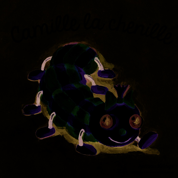 Knjiga Camille la chenille Krings
