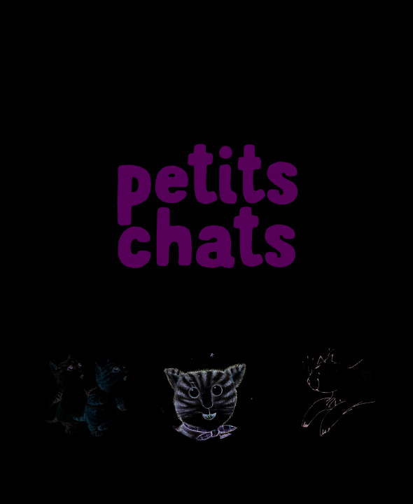 Knjiga 3 histoires de petits chats COLLECTIFS JEUN