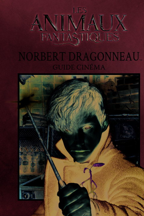 Knjiga Norbert Dragonneau COLLECTIFS JEUN