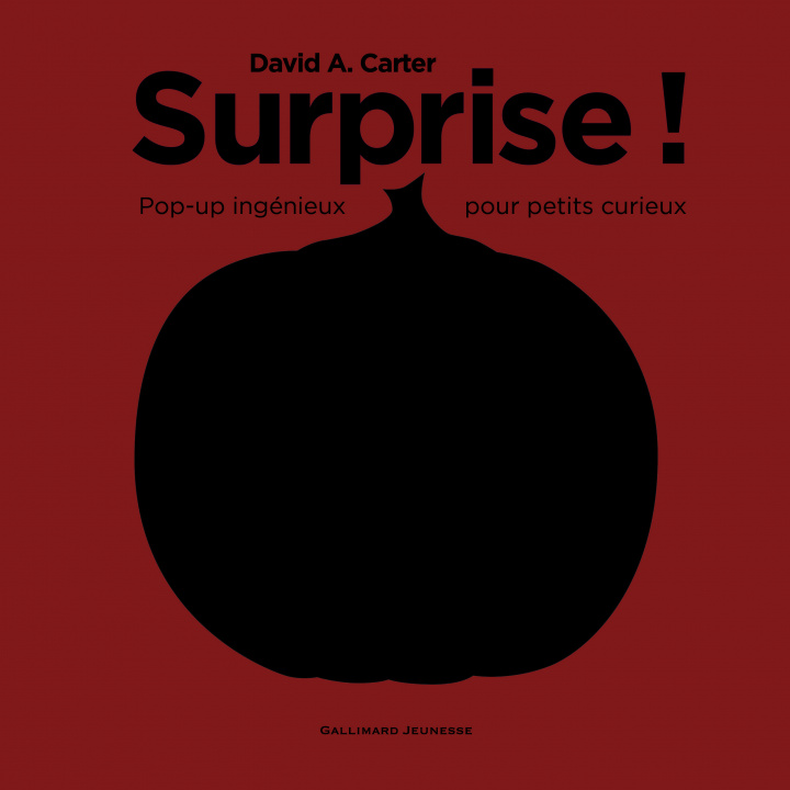 Knjiga Surprise ! Carter