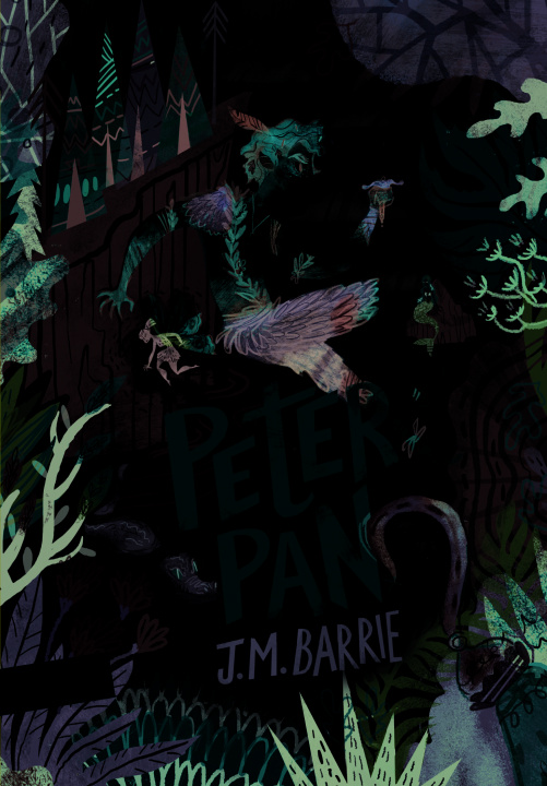 Könyv Peter Pan Barrie