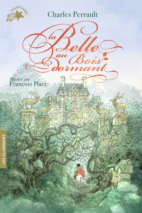 Kniha La Belle au Bois dormant Perrault