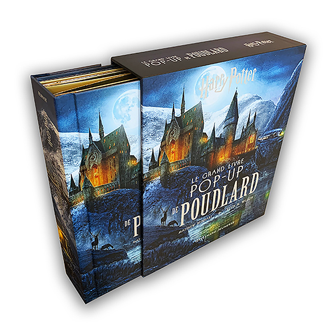 Kniha Harry Potter - Le grand livre pop-up de Poudlard Reinhart